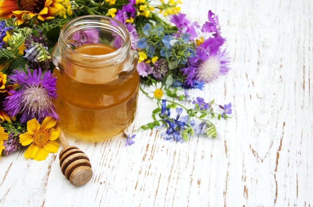 Boutures et miel
