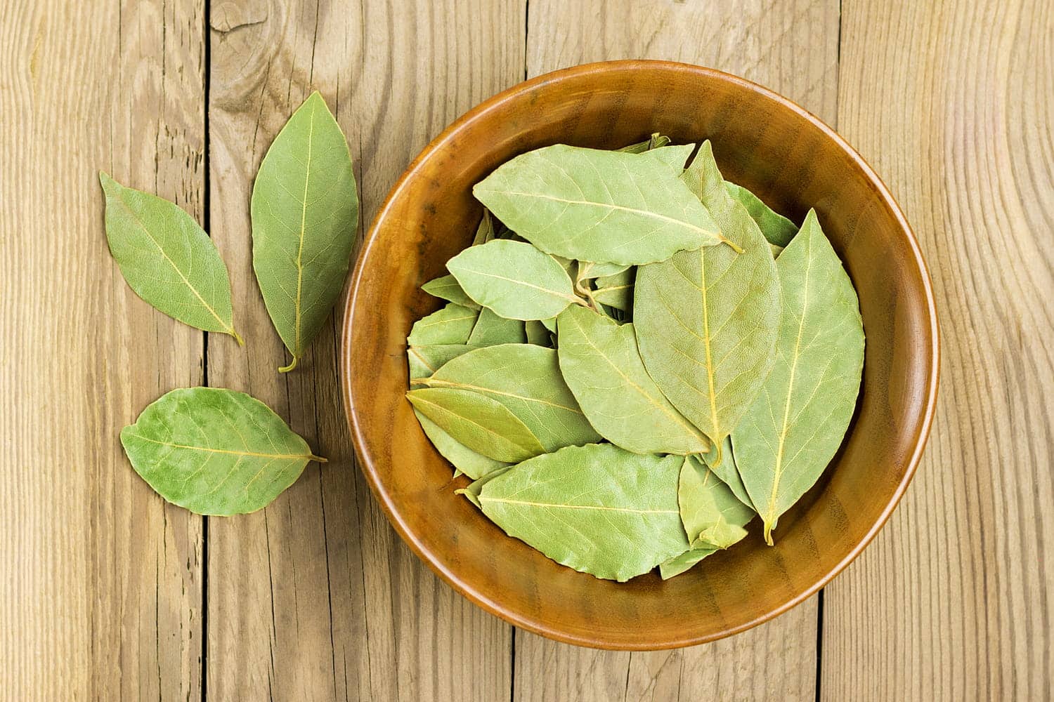 Feuilles de laurier dans un réfrigérateur