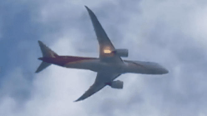 Collision entre un avion et un oiseau