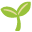 Feuille verte