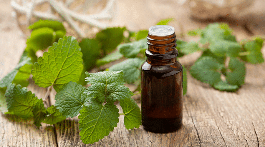 Huiles essentielles de menthe poivrée