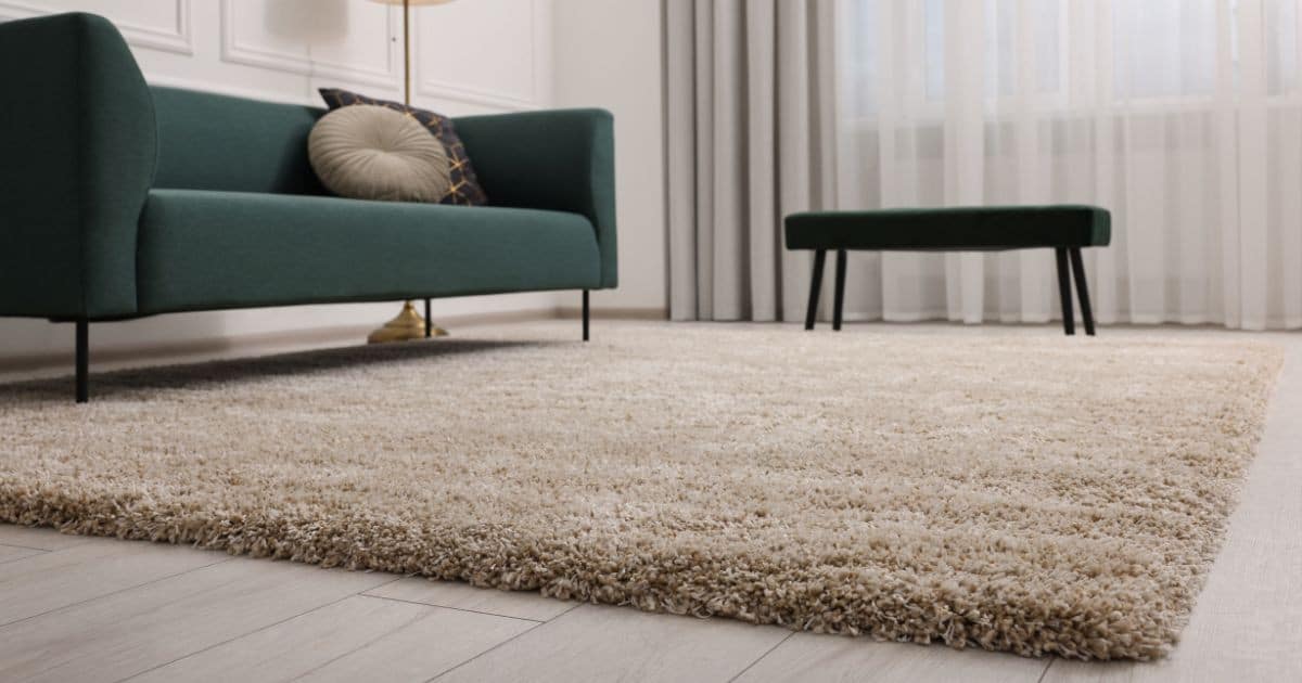 Détachage de tapis avec bicarbonate