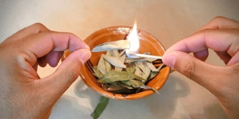 Rituel de purification au laurier