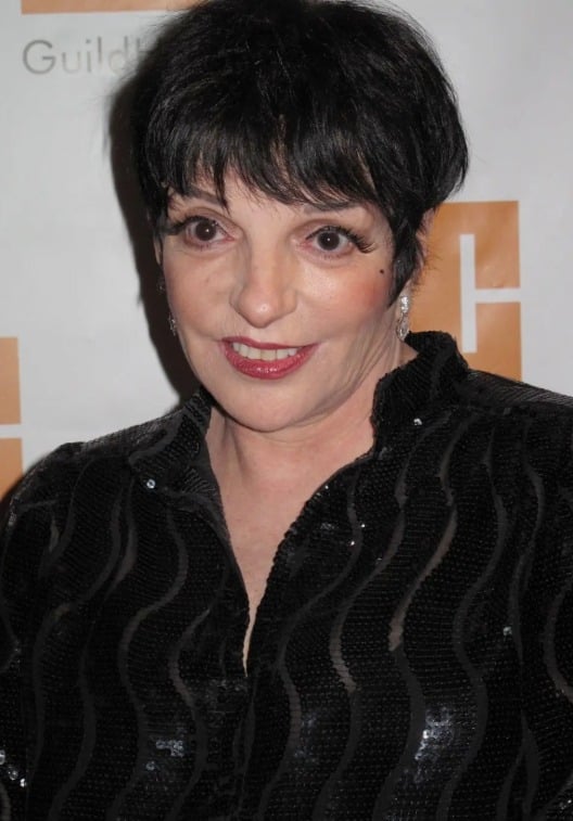 Liza Minnelli en concert, rayonnante sur scène
