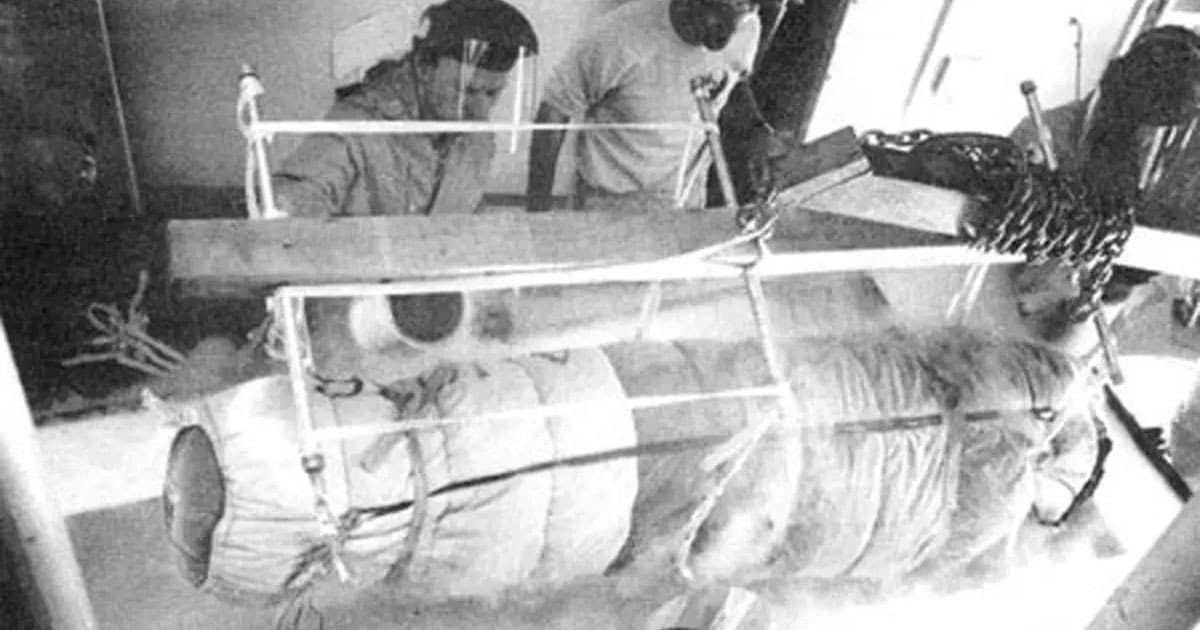 Installation de cryogénisation
