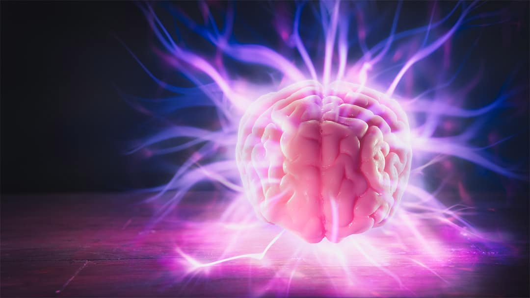Recherche sur la conscience post-mortem