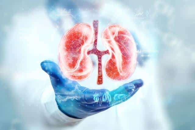 Mains tenant un coeur symbolique
