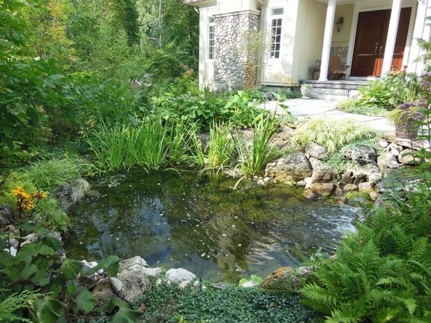 Eau stagnante dans un jardin