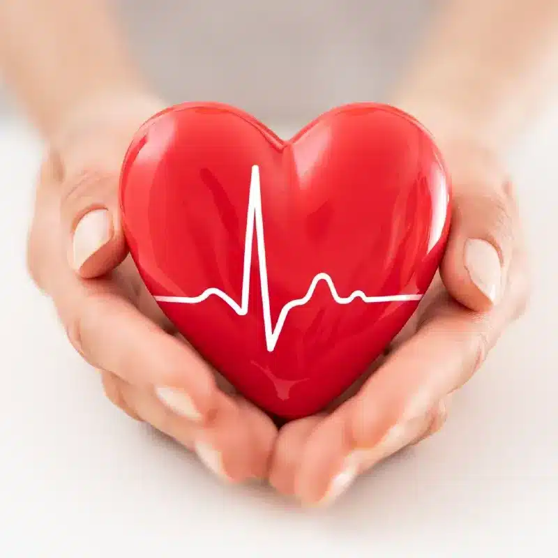 Coeur en bonne santé