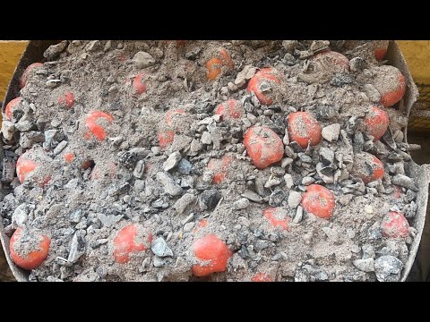 Étapes de conservation des tomates dans la cendre