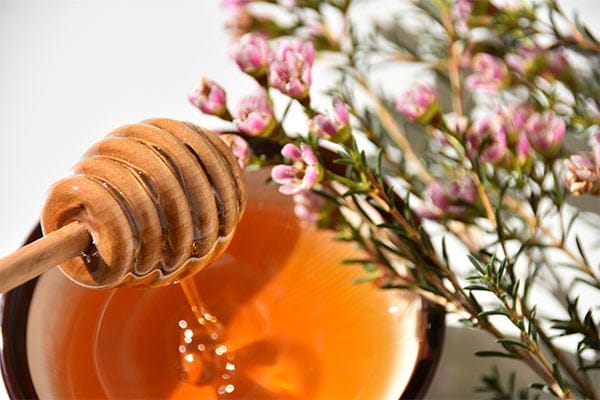 Pot de miel de Manuka