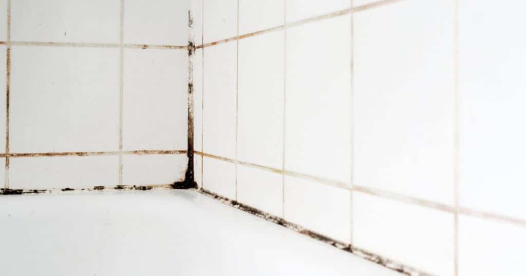 joints de salle de bain avec moisissures