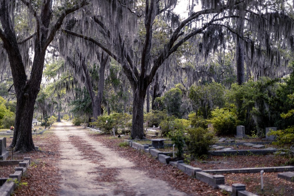 Vue aérienne mystérieuse de Savannah