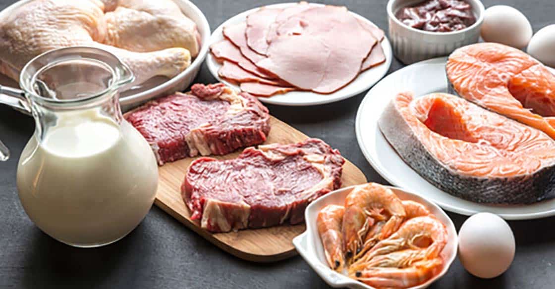Assortiment d'aliments protéinés