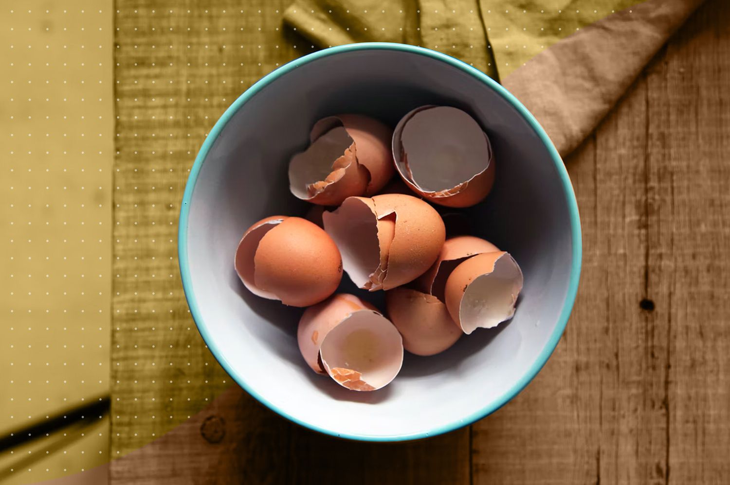 Coquilles d'œufs utilisées comme engrais naturel