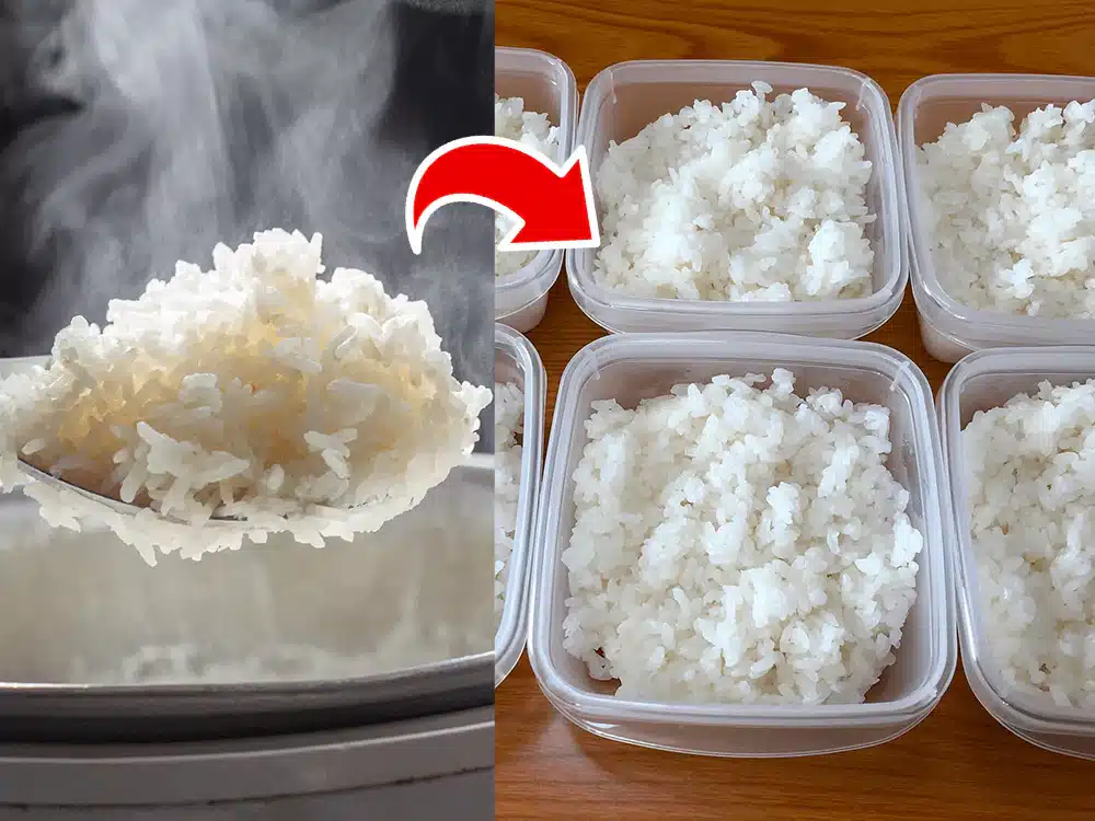 Riz cuit dans des boîtes de conservation