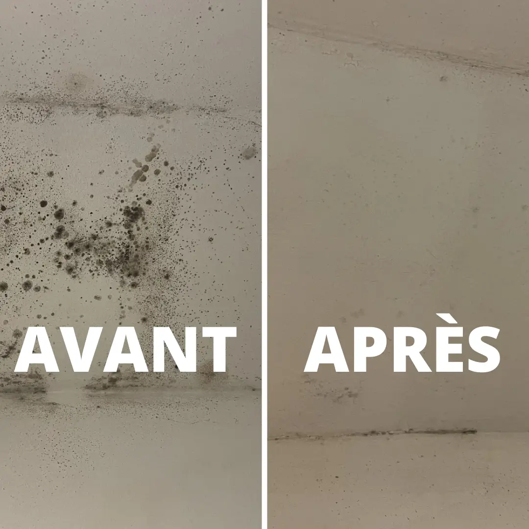 Nettoyage de moisissures sur mur
