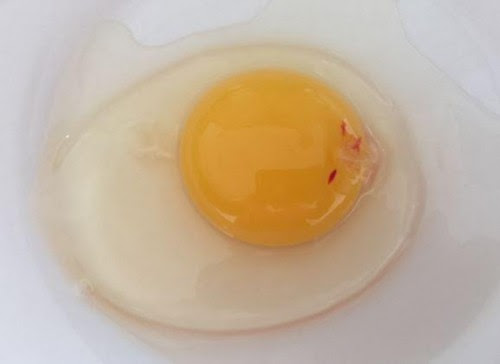 Œuf au plat avec point rouge visible