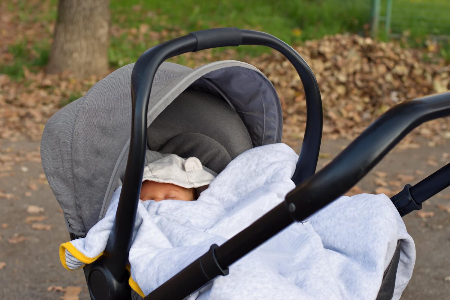 Bébé dans son landau avec une abondante chevelure