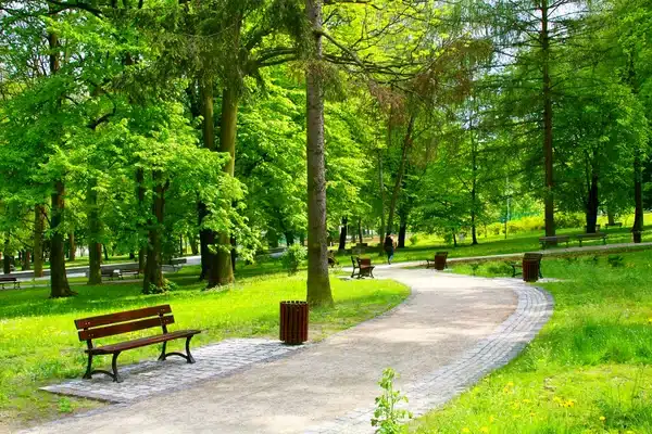 Parc où se déroule la rencontre