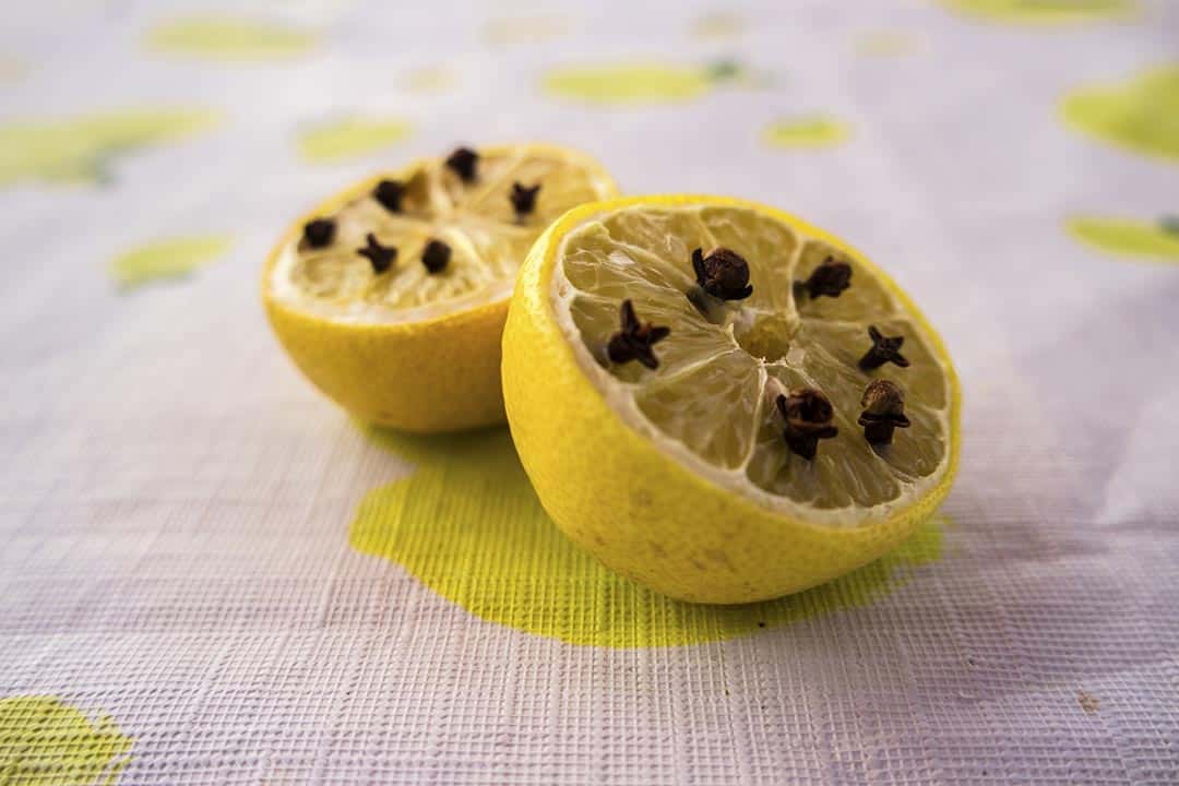 Piège naturel contre les guêpes