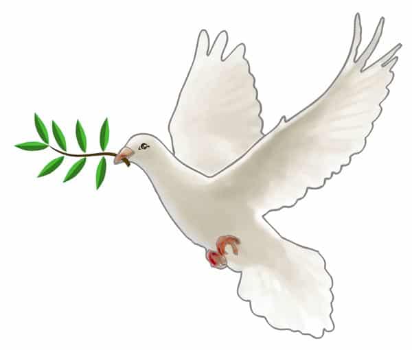 Dessin d'une colombe symbolisant une connexion invisible