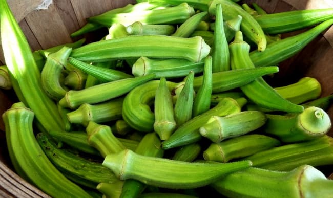 Gombos frais sur un marché