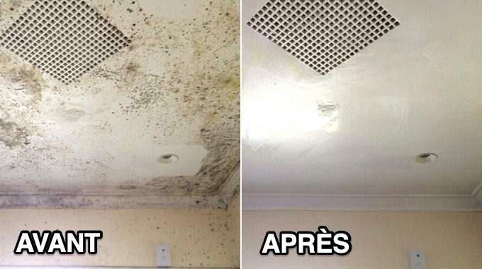 Traitement professionnel de l'humidité