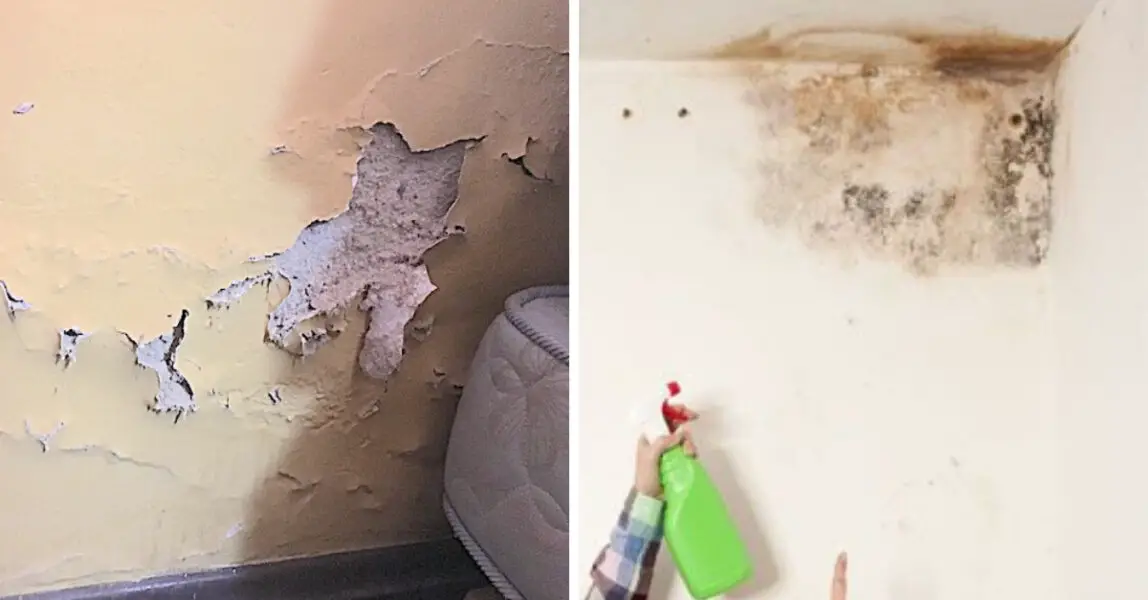 Astuces contre l'humidité murale