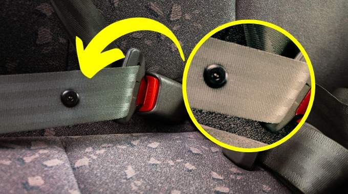 Détail du bouton bloqueur sur une ceinture de sécurité