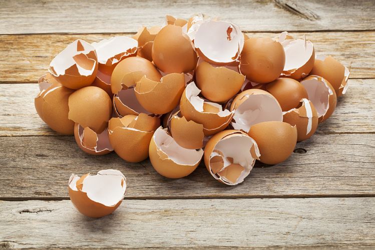 Poudre de coquilles d'œufs maison