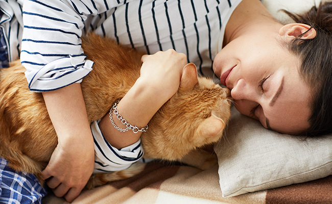 Un chat lové contre le visage de son humain endormi