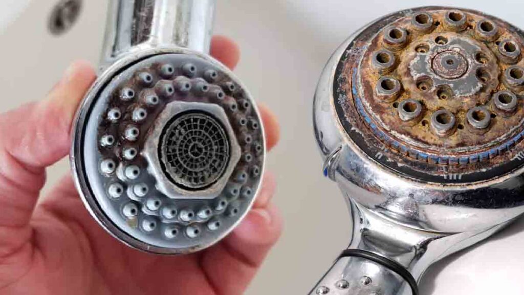 Dépôts de calcaire sur une paroi de douche