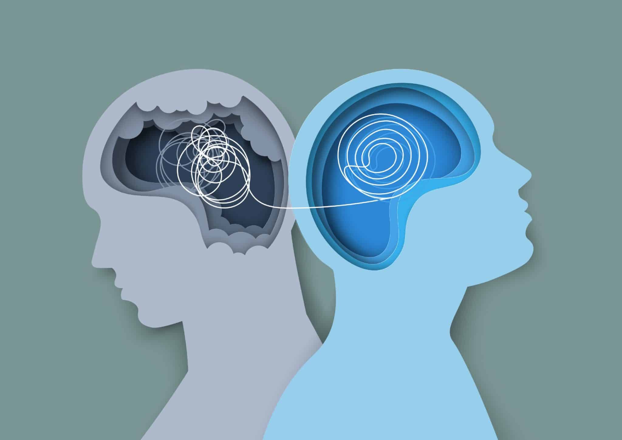 Cerveau et connexions neuronales illustrant l'empathie