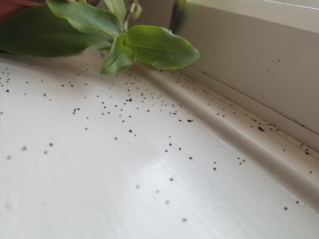 Traces suspectes sur une surface