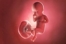 Mains formant un cœur autour d'un petit pied de bébé