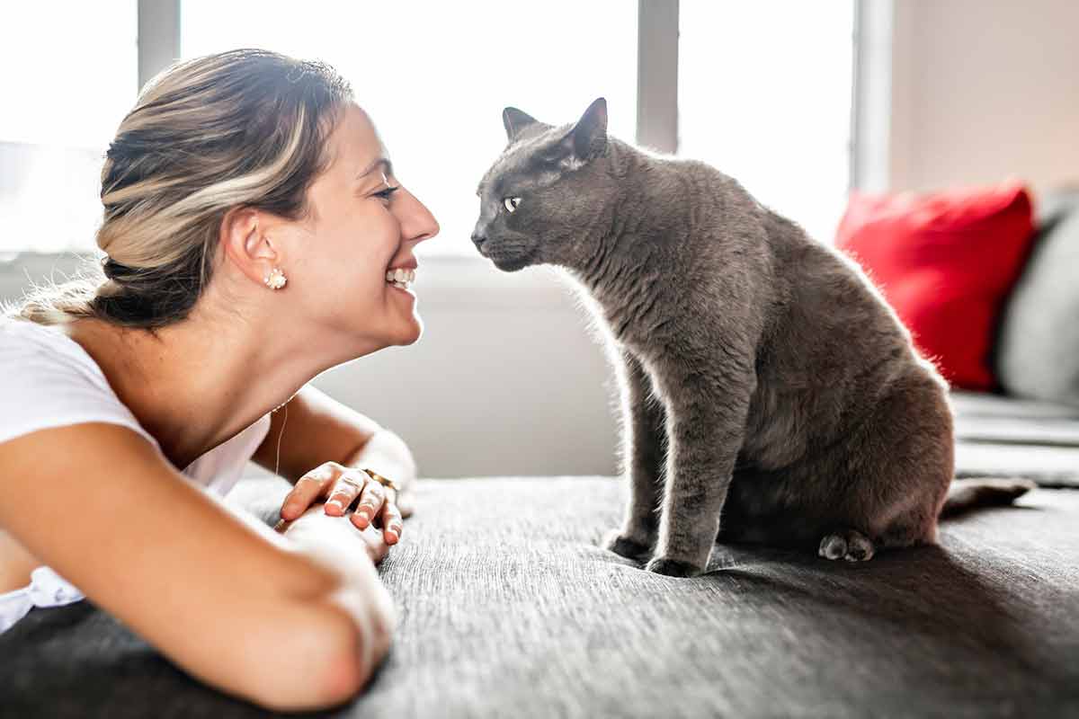 Un chat renifle doucement le visage de son propriétaire