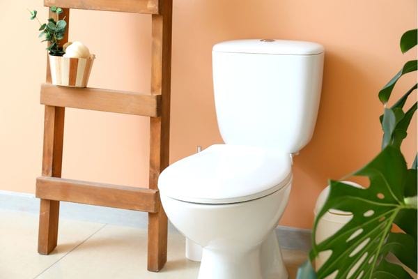 Toilettes impeccables après nettoyage
