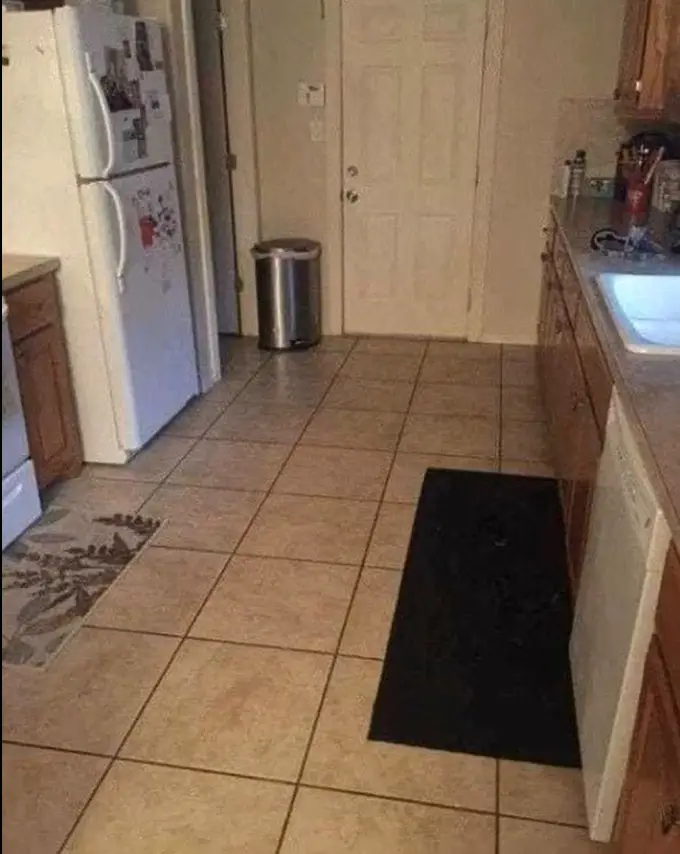 Photo d'une cuisine avec un labrador noir camouflé