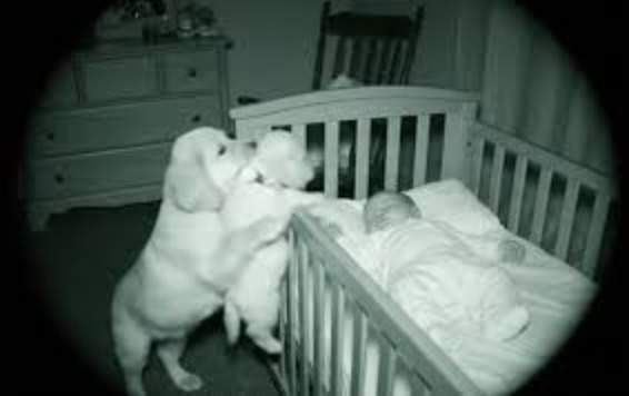 Bébé et chiot dormant paisiblement ensemble