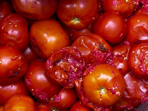 Tomates coupées révélant leurs graines