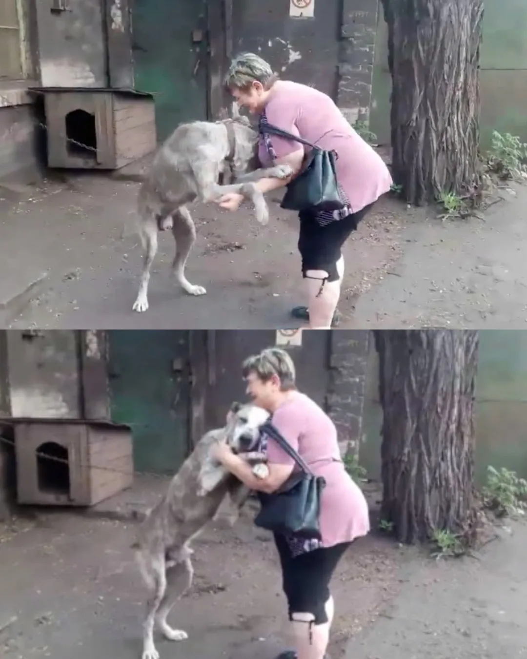 Retrouvailles entre Claire et Lucky