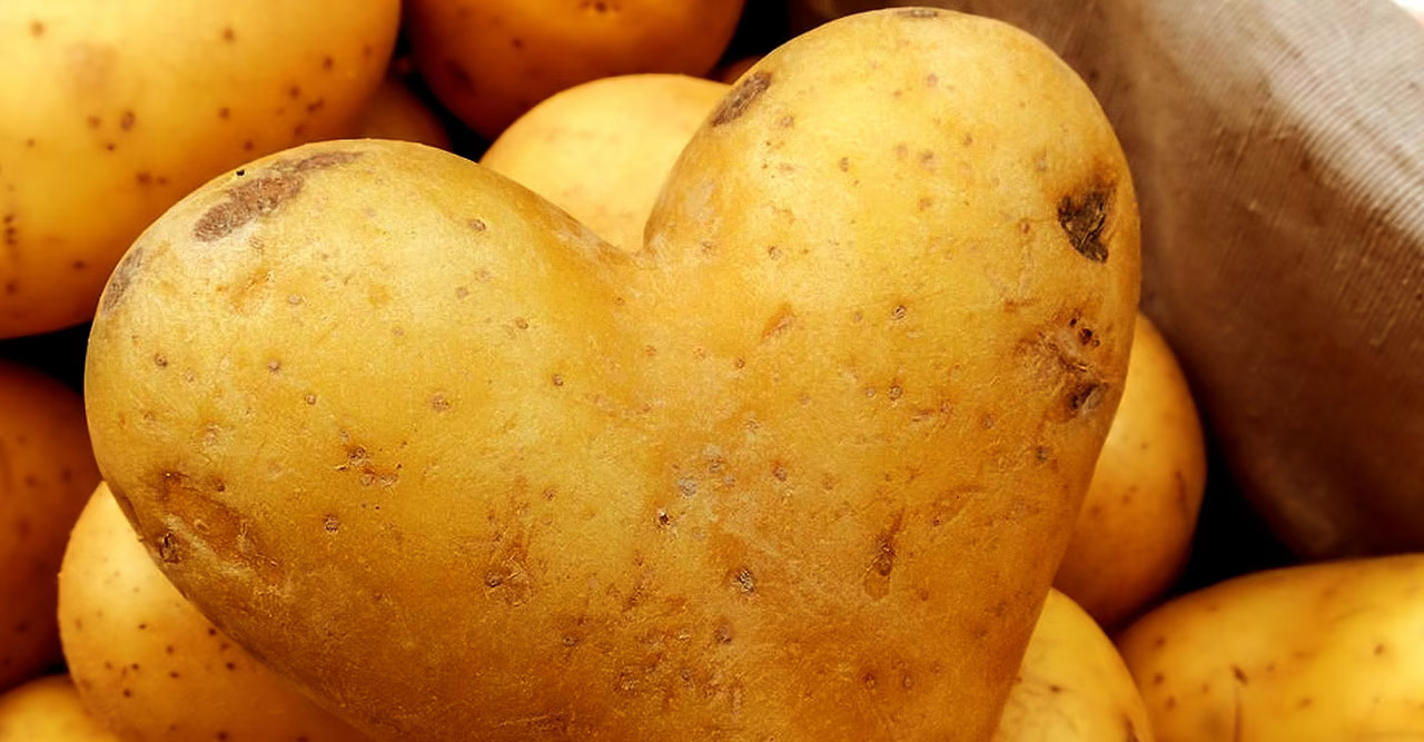 Pommes de terre nouvelles et pelures de banane dans un bol en céramique