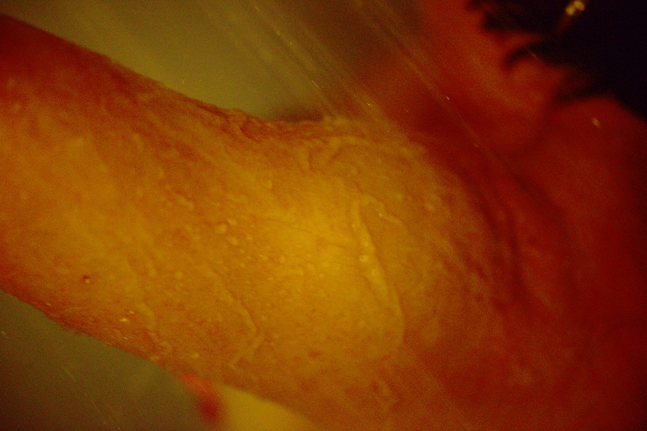 Détail d'une épaule sous l'eau de la douche, illustrant la douceur des soins