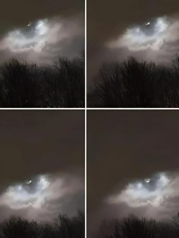 Vue d'ensemble du paysage montrant le nuage dans son contexte maritime