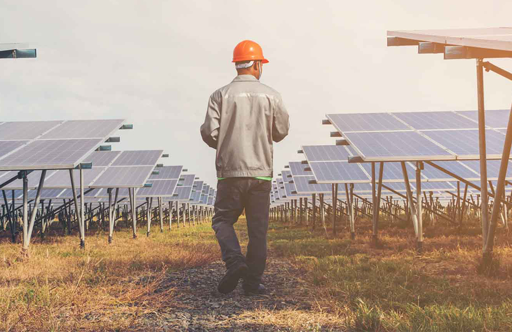 Panneaux solaires dans un champ avec un expert à l'avant-plan