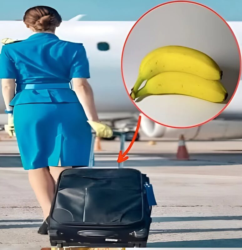 Hôtesse de l'air souriante tenant une banane