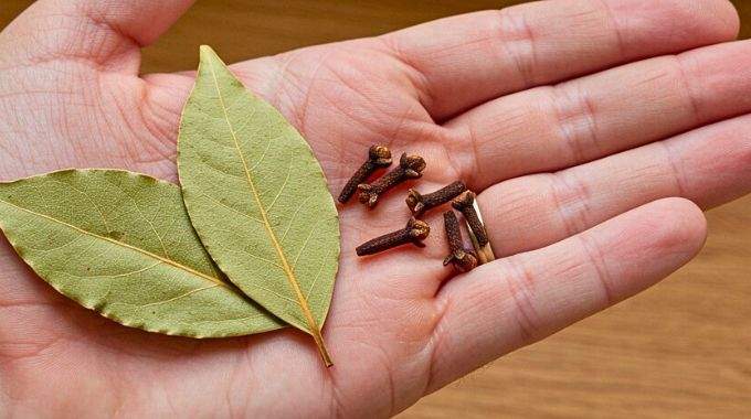 Mélange d'aromates séchés : feuilles de laurier et clous de girofle