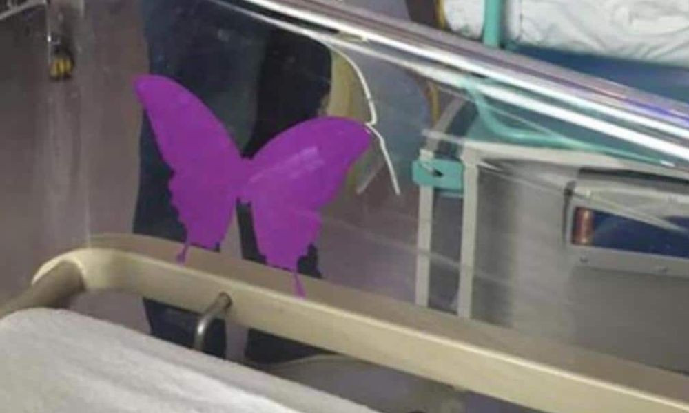 Illustration d'un papillon violet déposé délicatement sur une main